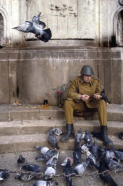 soldier feeding pigeons Bucharest Romania Romanian revolution 1989 revolutia romana romanians