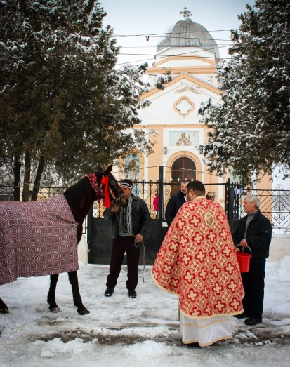 boboteaza-botezul-cailor-baptism-of-horses-salcioara-romania-traditions-pagan-customs-europe